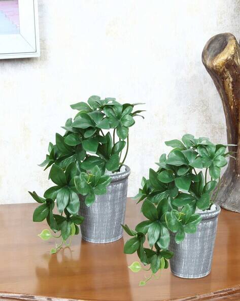 Foliyaj Set of 2 Artificial Plants with Pots