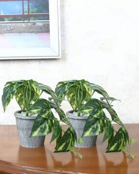 foliyaj Set of 2 Artificial Plants with Pots-picture-43