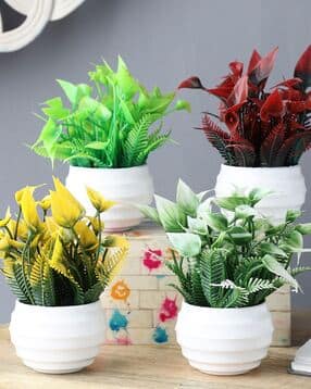 foliyaj Artificial  Plant And Pot Set For 4-picture-14