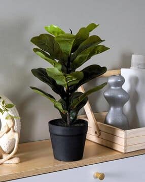 FiddleLeaf Artificial Table Plant with Pot 