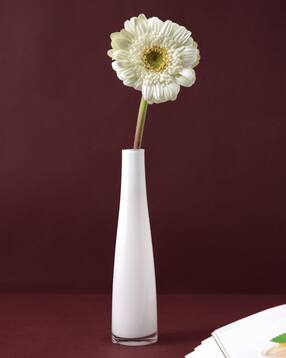 Stylish Transparent Glass Vase