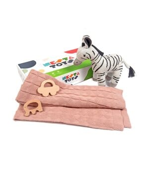 Zebra Elephant & Car Toy