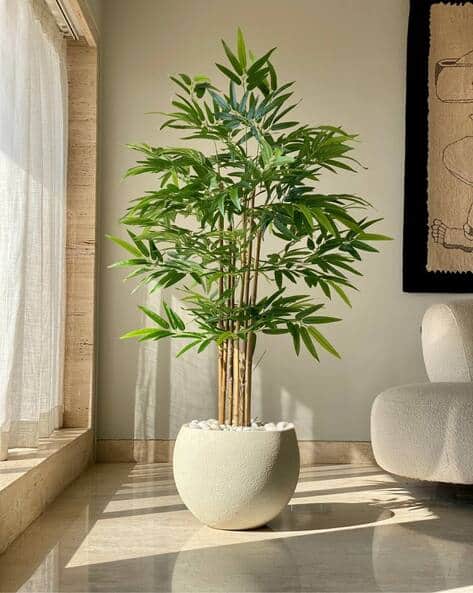 plant shelf Dusk Grey Plant Shelves: Showcase Your Plants with Elegance main image 0