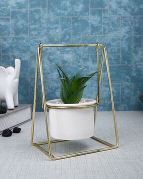 tayhaa 1 Pieces Succulent Artificial Plant With Pot-picture-35