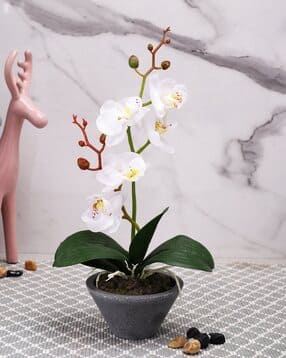 tayhaa 1 Pieces Orchid Artificial Plant With Pot-picture-24