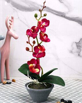 tayhaa 1 Pieces Orchid Artificial Plant With Pot-picture-49