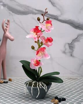 tayhaa  1 Pieces Orchid Artificial Plant With Pot-picture-40