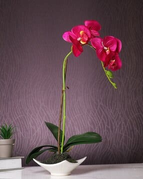 tayhaa  1 Pieces Orchid Artificial Plant With Pot-picture-36