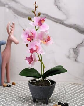 tayhaa  1 Pieces Orchid Artificial Plant With Pot-picture-36