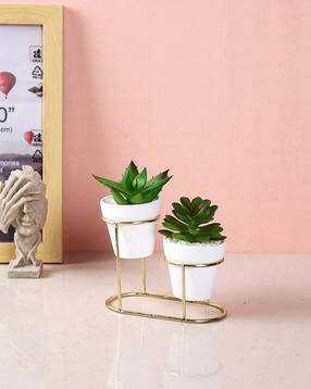tayhaa Set of 2 Succulent Artificial Plant with Pot-picture-32