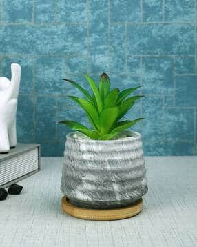 tayhaa Succulent Artificial Plant with Pot-picture-22