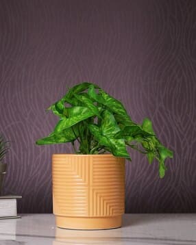 tayhaa Bonsai Artificial Plant with Pot-picture-28