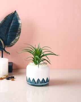 tayhaa Succulent Artificial Plant with Pot-picture-24
