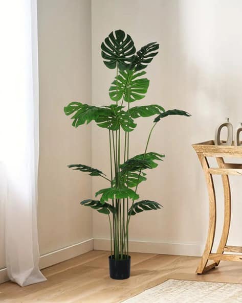 Buy HOME BLOOM Decoration Artificial Monstera Plants Indoor Outdoor with  Pot | Green Color Home & Kitchen | AJIO LUXE