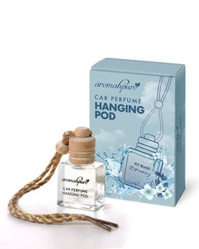 Car Perfume Hanging Pod-image-24