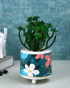tayhaa Artificial Plant with Ceramic Pot-picture-11