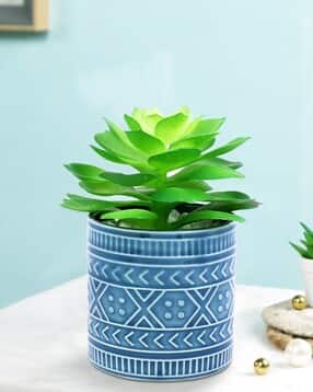 tayhaa Artificial Plant with Ceramic Pot-picture-14