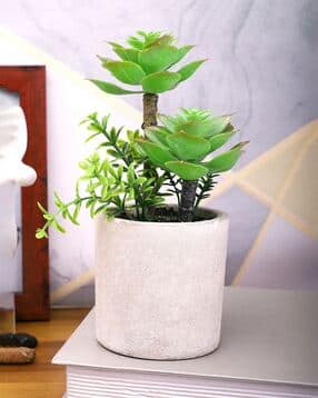tayhaa Artificial Plant with Pot-picture-39