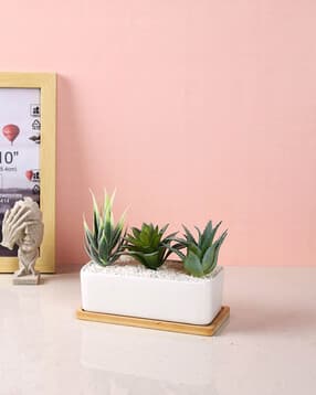 tayhaa Artificial Plant with Ceramic Pot-picture-15