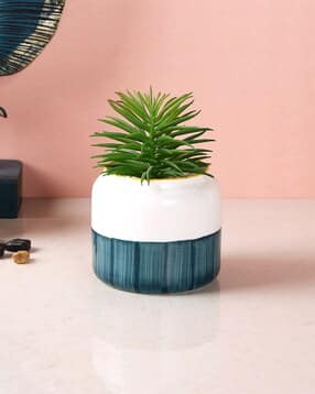 tayhaa Artificial Plant with Ceramic Pot-picture-24