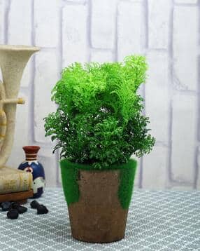 tayhaa Artificial Plant with Pot-picture-34