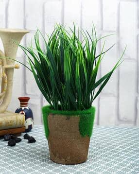 tayhaa Artificial Plant with Pot-picture-29