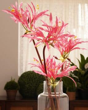 pure home and living Nerine Artificial Flower Stem -picture-51