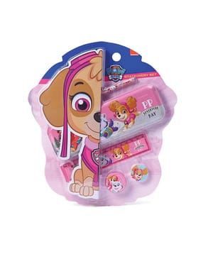 Set of 5 Paw Patrol Skye Cart Back-to-School Supply Stationeries