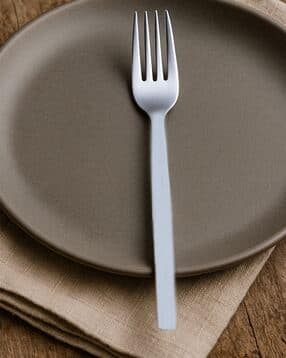 culinex by thinkitchen Stainless Steel Dinner Fork-picture-12