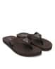 Buy Brown Flip Flop & Slippers for Men by GUESS Online | Ajio.com