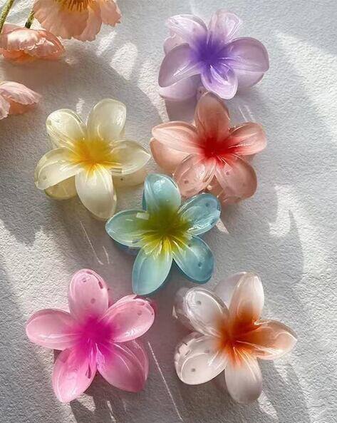 NSCC Women Hair Claw Clips