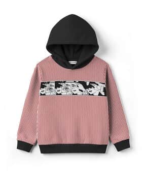 hellcat Boys Striped Regular Fit Hoodie-picture-46