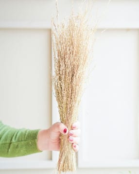 Star Grass Dried Flower Bunch -image-40