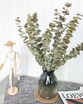 arte casa Eucalyptus Naturally Dried Flowers-picture-46