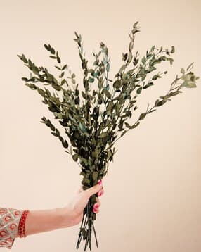 arte casa Green Leaves Mini Pampas Grass Dried Flowers for Vase Filler for Home -picture-23