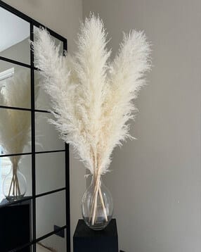 Set of 6 Naturally Dried Stems-image-2