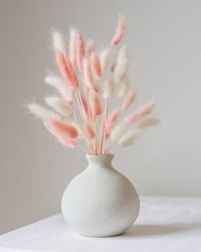  Dried Flowers for Vase Filler for Home Decor-image-6