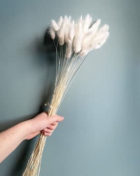 arte casa  Bunny Tails Pampas Grass for Home Decoration-picture-26