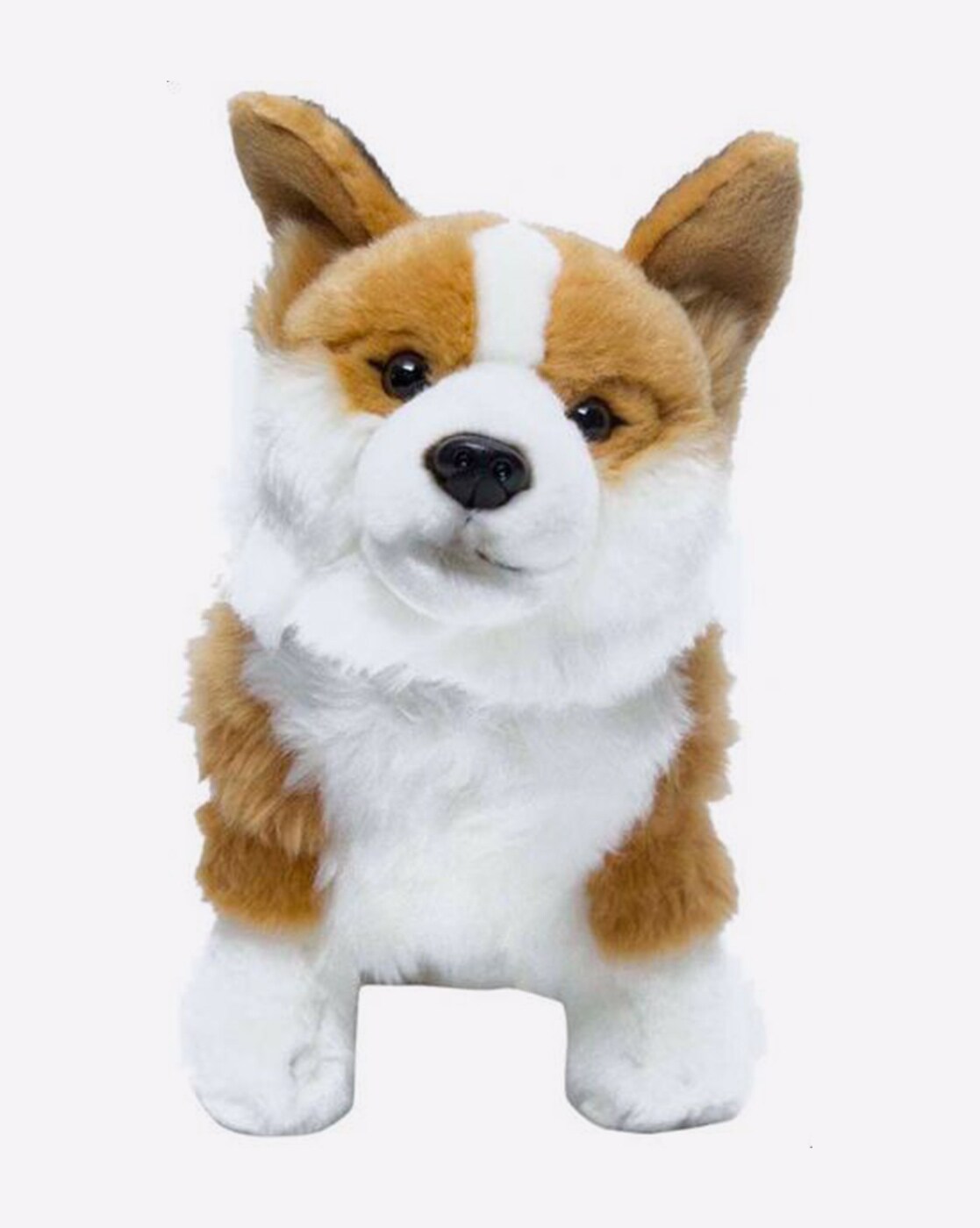 corgi cuddly toy