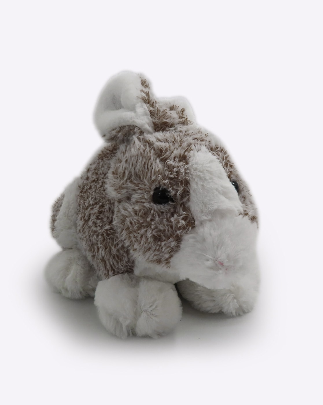 fuzzbuzz soft toys