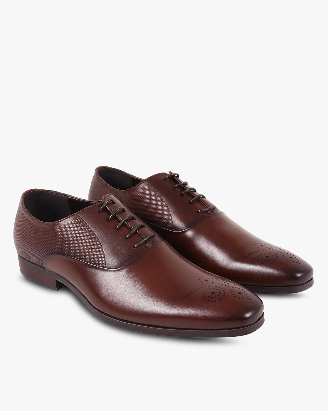 steve madden oxford