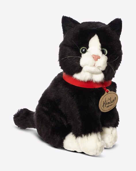 cat toys online