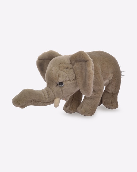 baby elephant cuddly toy