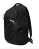 PUMA Apex Backpack IND  IIEveryday Backpacks