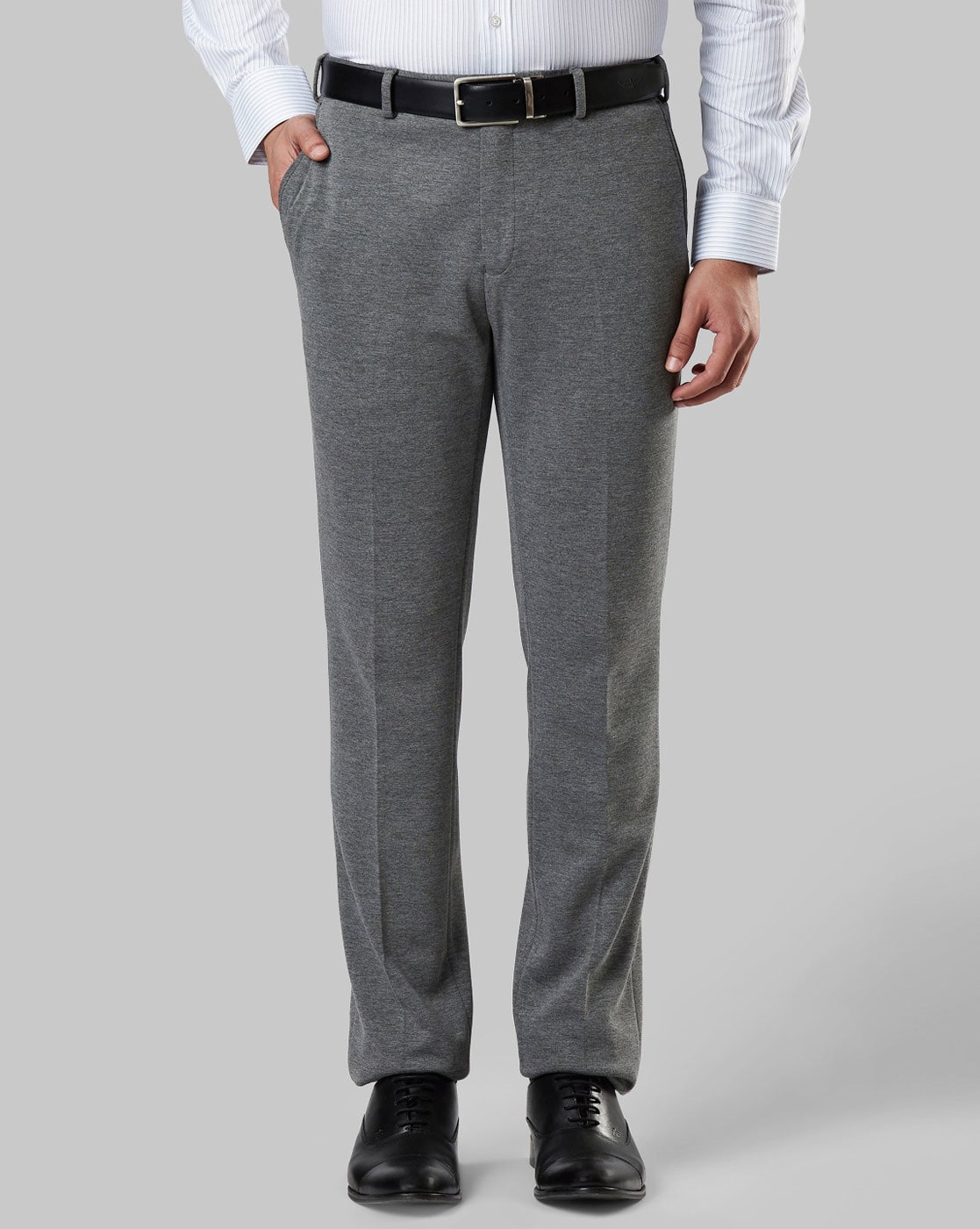Buy Brown Regular Fit SelfDesign Formal Trousers online  Looksgudin