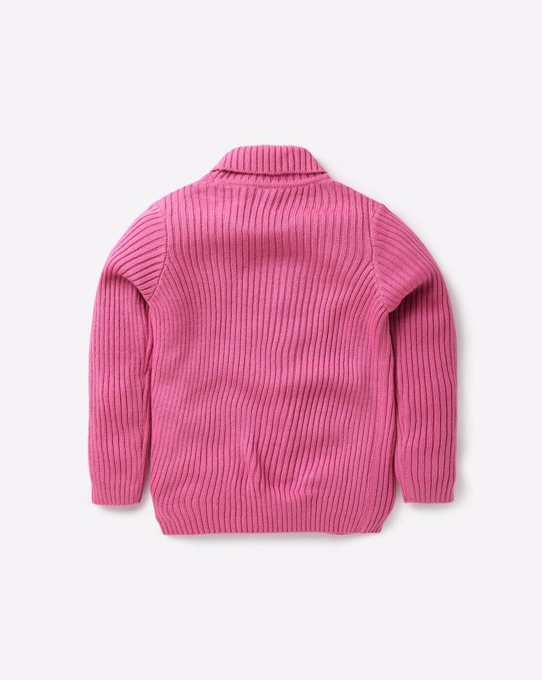 us polo turtleneck sweater