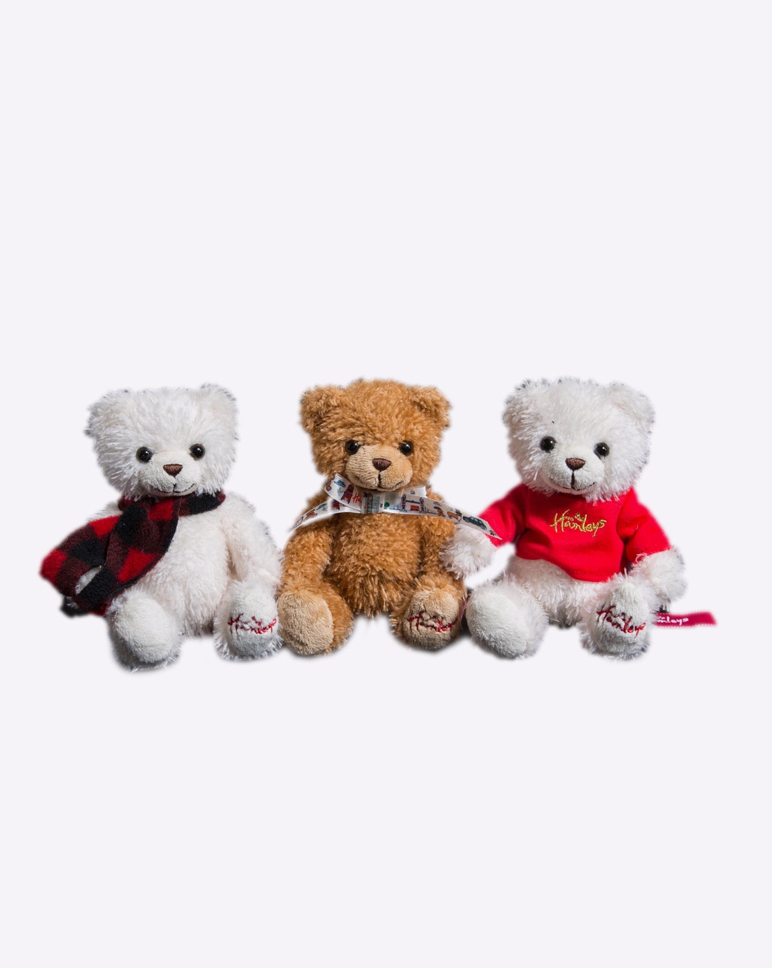 teddy bear 3