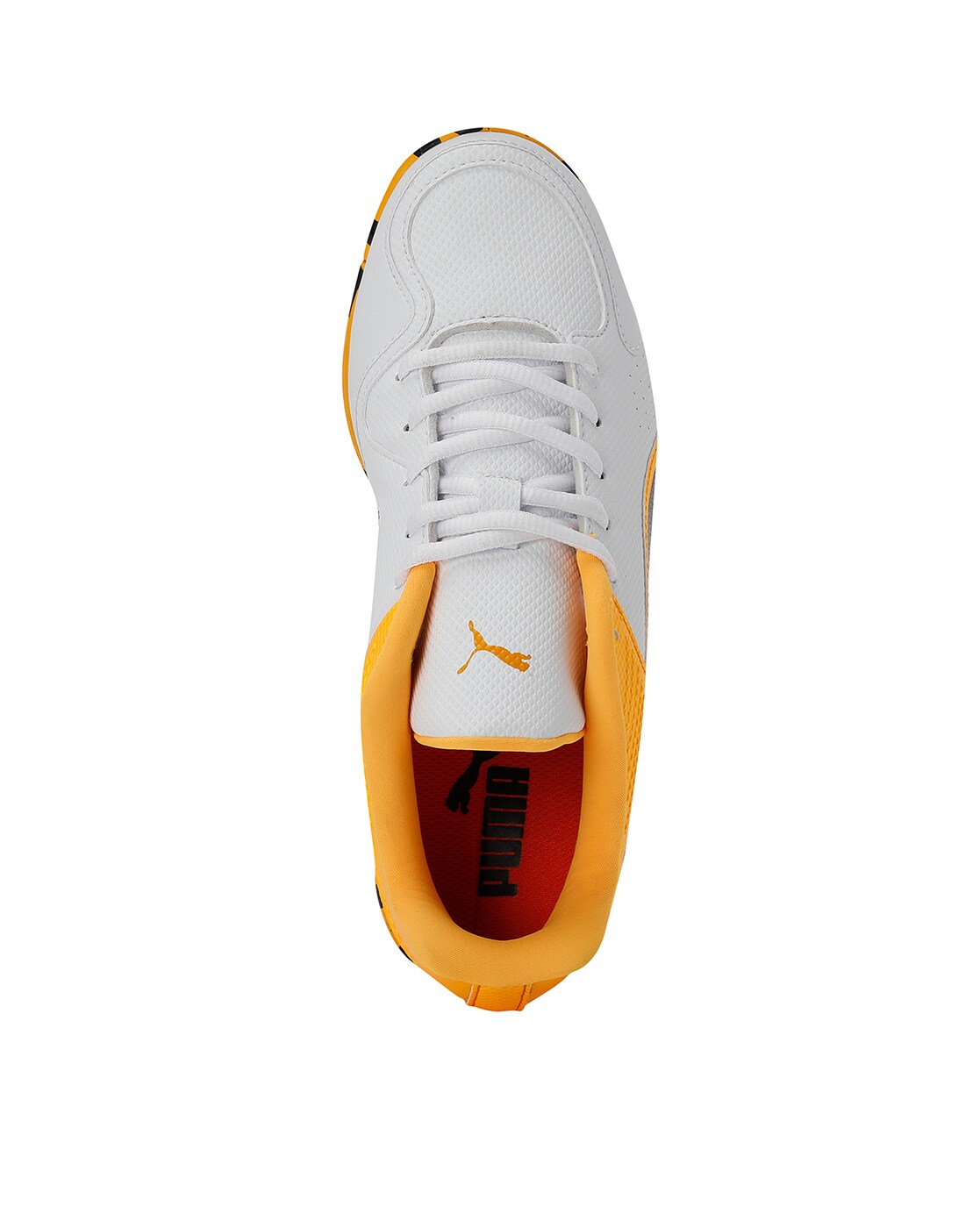 evospeed one8 jr shoes