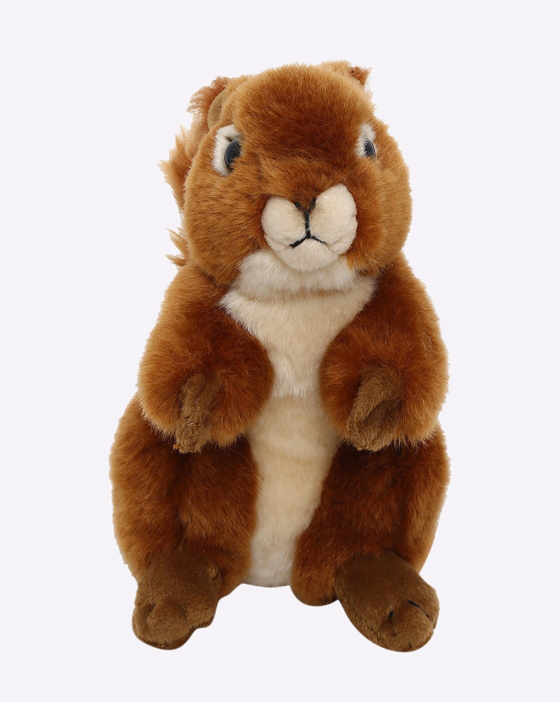 squirrel soft toys