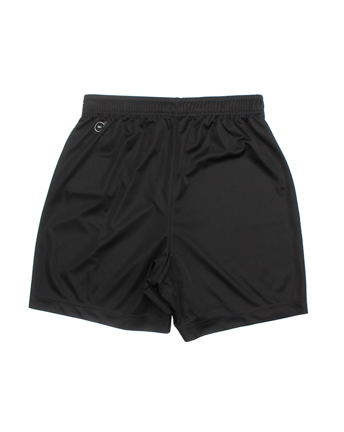 puma ftblplay shorts